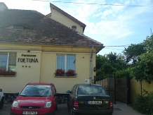 Pensiunea Fortuna - alloggio in  Transilvania (06)
