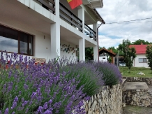 Pensiunea 3 Fantani - accommodation in  North Oltenia (02)