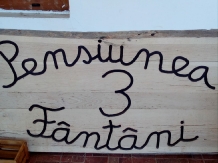 Pensiunea 3 Fantani - alloggio in  Nord Oltenia (16)