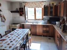 Pensiunea 3 Fantani - accommodation in  North Oltenia (25)