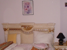 Vila Rex - accommodation in  Slanic Moldova (03)