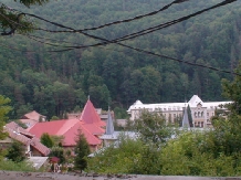 Vila Rex - accommodation in  Slanic Moldova (05)