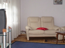 Vila Rex - accommodation in  Slanic Moldova (06)