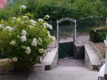 Vila Rex - accommodation in  Slanic Moldova (07)
