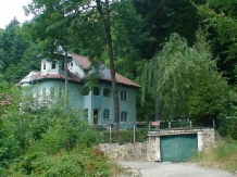 Vila Rex - accommodation in  Slanic Moldova (09)