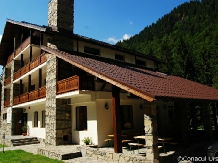 Cabana Conacul Ursului - alloggio in  Fagaras e vicinanze, Transfagarasan (03)