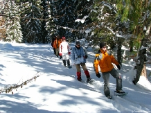 Cabana Conacul Ursului - cazare Fagaras, Transfagarasan (19)