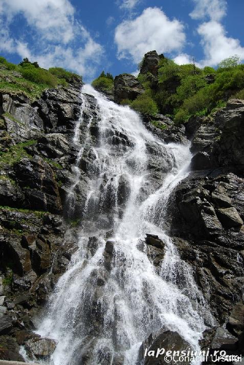 Cabana Conacul Ursului - alloggio in  Fagaras e vicinanze, Transfagarasan (Attivit&agrave; e i dintorni)