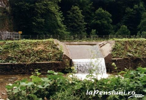 Pensiunea Anett - accommodation in  Apuseni Mountains (Surrounding)