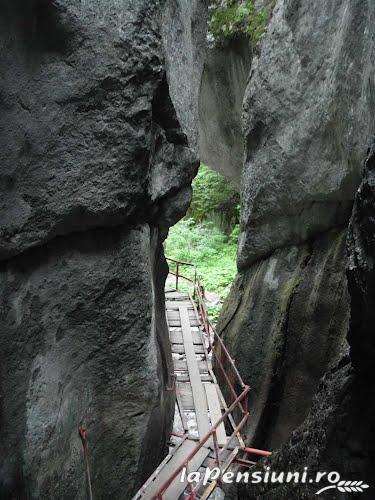 Pensiunea Dumbrava - accommodation in Brasov Depression (Surrounding) Pensiunea Dumbrava - accommodation in Brasov Depression (Surrounding)
