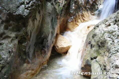 Pensiunea Dumbrava - accommodation in Brasov Depression (Surrounding) Pensiunea Dumbrava - accommodation in Brasov Depression (Surrounding)