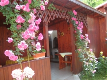 Pensiunea Eden - accommodation in  Cernei Valley, Herculane (04)