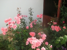 Pensiunea Eden - alloggio in  Valea Cernei, Herculane (55)