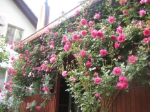 Pensiunea Eden - alloggio in  Valea Cernei, Herculane (69)
