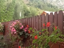 Pensiunea Eden - alloggio in  Valea Cernei, Herculane (71)