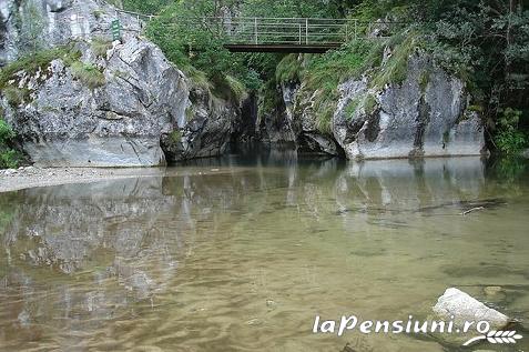 Pensiunea Eden - accommodation in  Cernei Valley, Herculane (Surrounding)