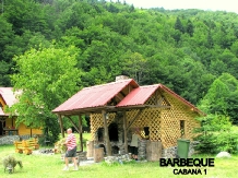 Pensiunea Rustic House - accommodation in  Apuseni Mountains (02)