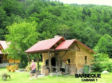 Pensiunea Rustic House - alloggio in  Apuseni (02)