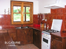 Pensiunea Rustic House - alloggio in  Apuseni (04)