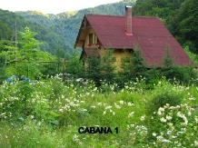 Pensiunea Rustic House - cazare Apuseni (08)