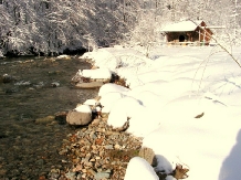 Pensiunea Rustic House - alloggio in  Apuseni (09)