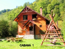 Pensiunea Rustic House - alloggio in  Apuseni (14)