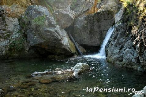 Pensiunea Rustic House - cazare Apuseni (Activitati si imprejurimi)