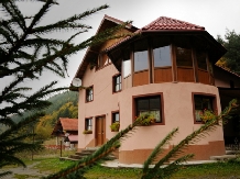Vila Premiere - accommodation in  Fagaras and nearby, Sambata (01)