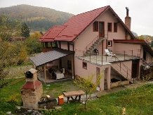 Vila Premiere - accommodation in  Fagaras and nearby, Sambata (02)