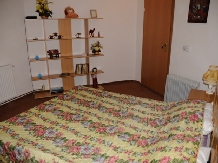 Vila Premiere - accommodation in  Fagaras and nearby, Sambata (07)