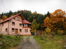 Vila Premiere - accommodation in  Fagaras and nearby, Sambata (22)