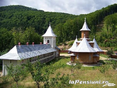 Vila Premiere - cazare Fagaras, Sambata (Activitati si imprejurimi) Vila Premiere - cazare Fagaras, Sambata (Activitati si imprejurimi)