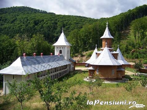 Vila Premiere - cazare Fagaras, Sambata (Activitati si imprejurimi)