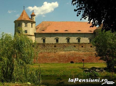 Vila Premiere - alloggio in  Fagaras e vicinanze, Sambata (Attivit&agrave; e i dintorni)