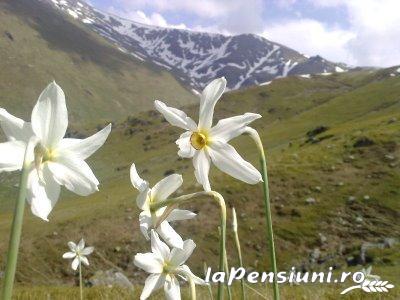 Casa cu Platani - cazare Banat (Activitati si imprejurimi) Casa cu Platani - cazare Banat (Activitati si imprejurimi)