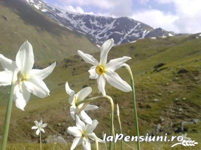 Casa cu Platani - cazare Banat (Activitati si imprejurimi)