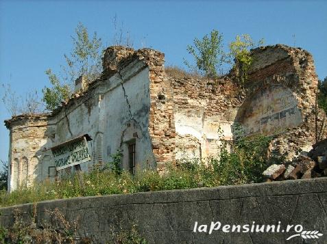 Casa Dan - alloggio in  Valea Oltului (Attivit&agrave; e i dintorni)