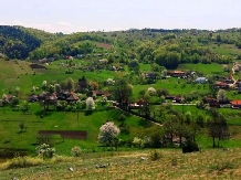 Pensiunea Dolina - alloggio in  Apuseni (23)