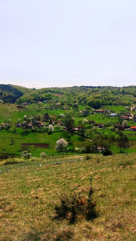 Pensiunea Dolina - alloggio in  Apuseni (Attivit&agrave; e i dintorni)