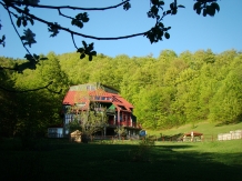 Pensiunea Barlogul Ursilor - accommodation in  Moldova (01)