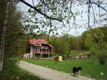 Pensiunea Barlogul Ursilor - alloggio in  Moldova (02)