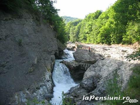 Pensiunea Barlogul Ursilor - accommodation in  Moldova (Surrounding)