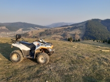 Casa Maghernita - accommodation in  Gura Humorului, Bucovina (27)