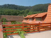 Pensiunea Nicoleta - accommodation in  Sibiu Surroundings (04)