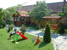 Pensiunea Nicoleta - accommodation in  Sibiu Surroundings (10)
