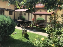 Pensiunea Nicoleta - accommodation in  Sibiu Surroundings (17)