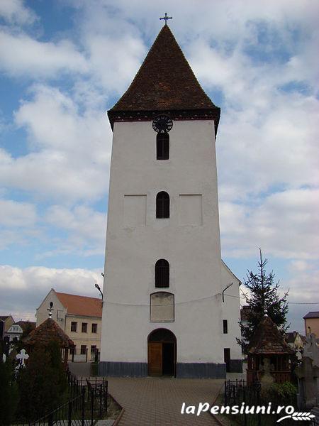Pensiunea Nicoleta - accommodation in  Sibiu Surroundings (Surrounding)