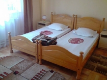 Pensiunea Ioana - accommodation in  Olt Valley (09)