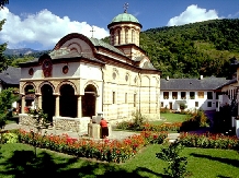 Pensiunea Ioana - alloggio in  Valea Oltului (11)