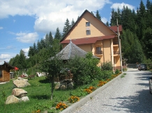 Pensiunea Alexandra - alloggio in  Bucovina (02)